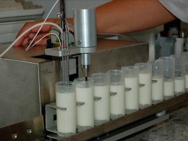 Análise de leite pasteurizado