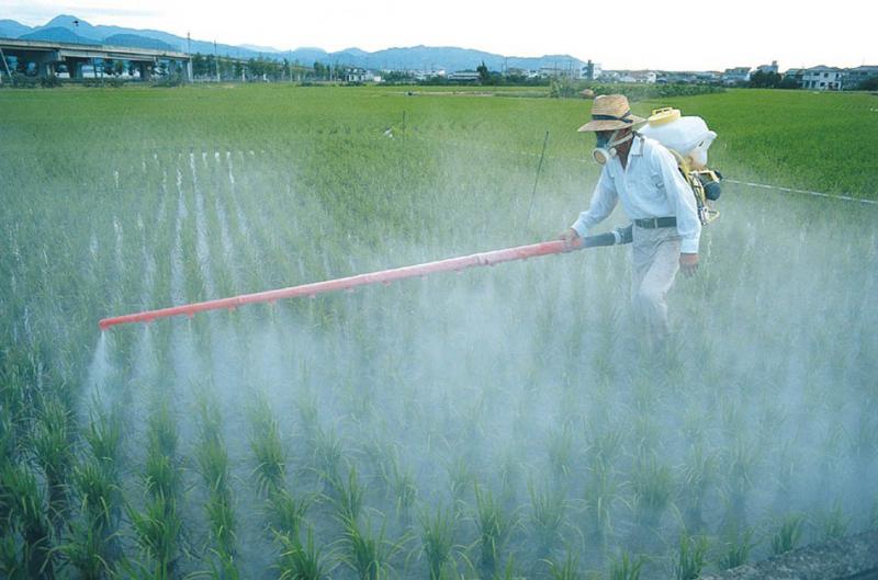 Analise de resíduos de pesticidas