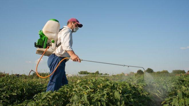 Analise de resíduos de pesticidas
