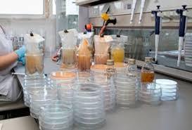 Empresa de analise microbiológica de alimentos