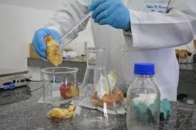 Laboratório para análise de alimentos